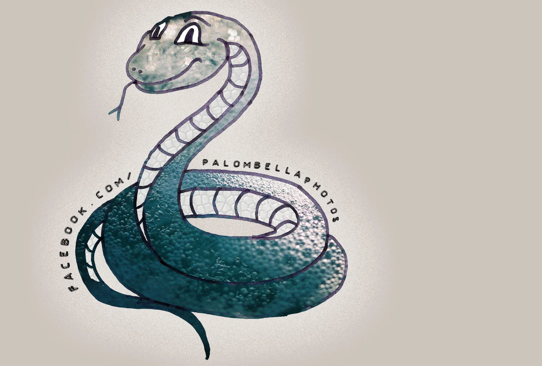 snake 2.0merged.jpg