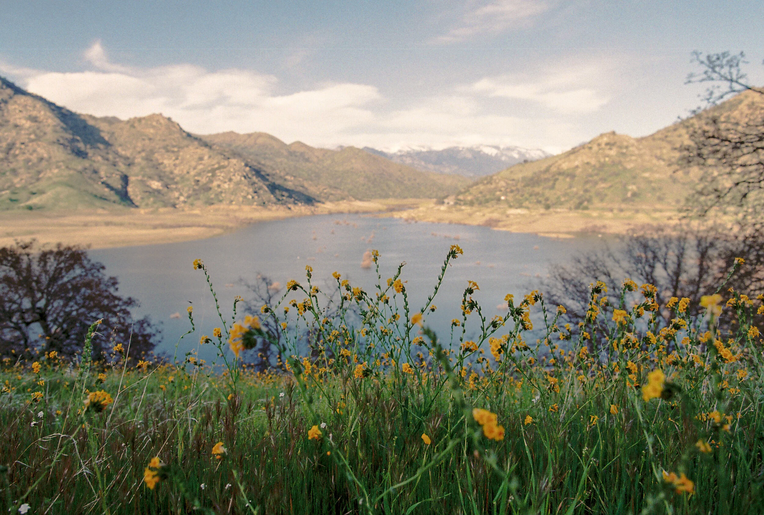 SpringBreakFilm-5.jpg
