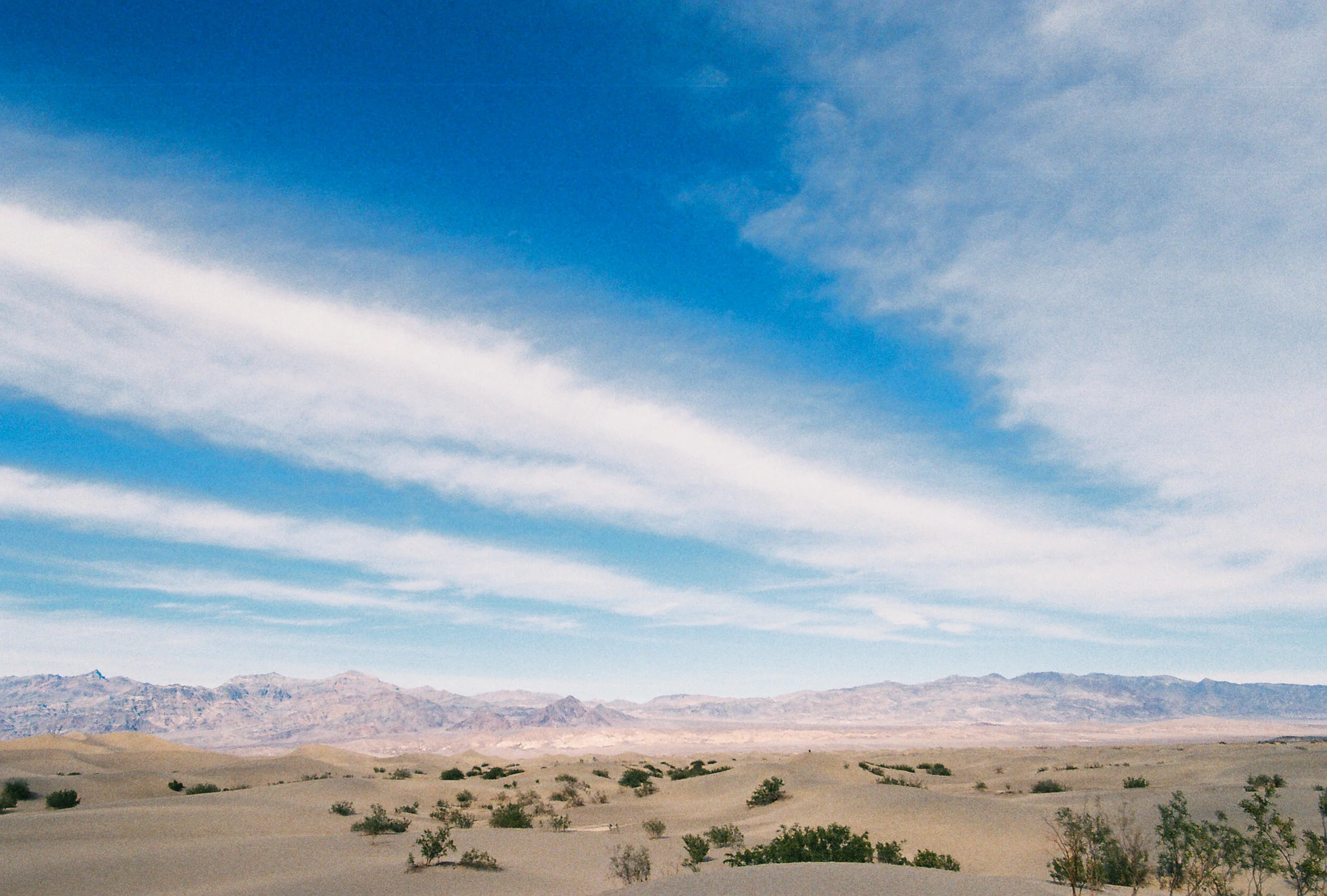 SpringBreakFilm-8.jpg