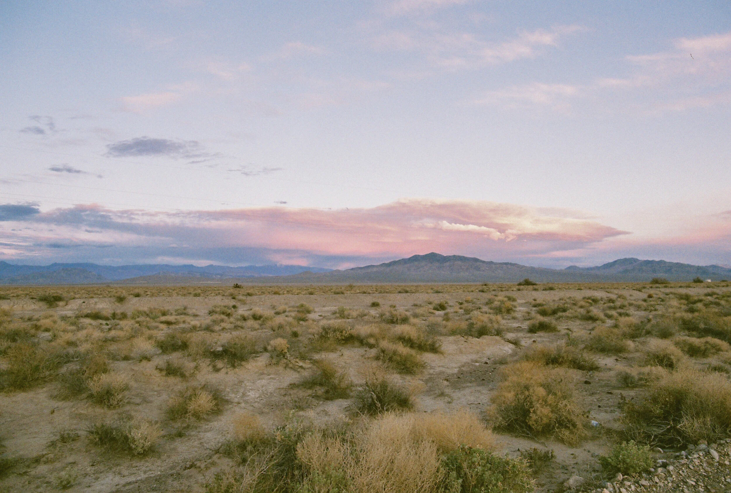 SpringBreakFilm-31.jpg
