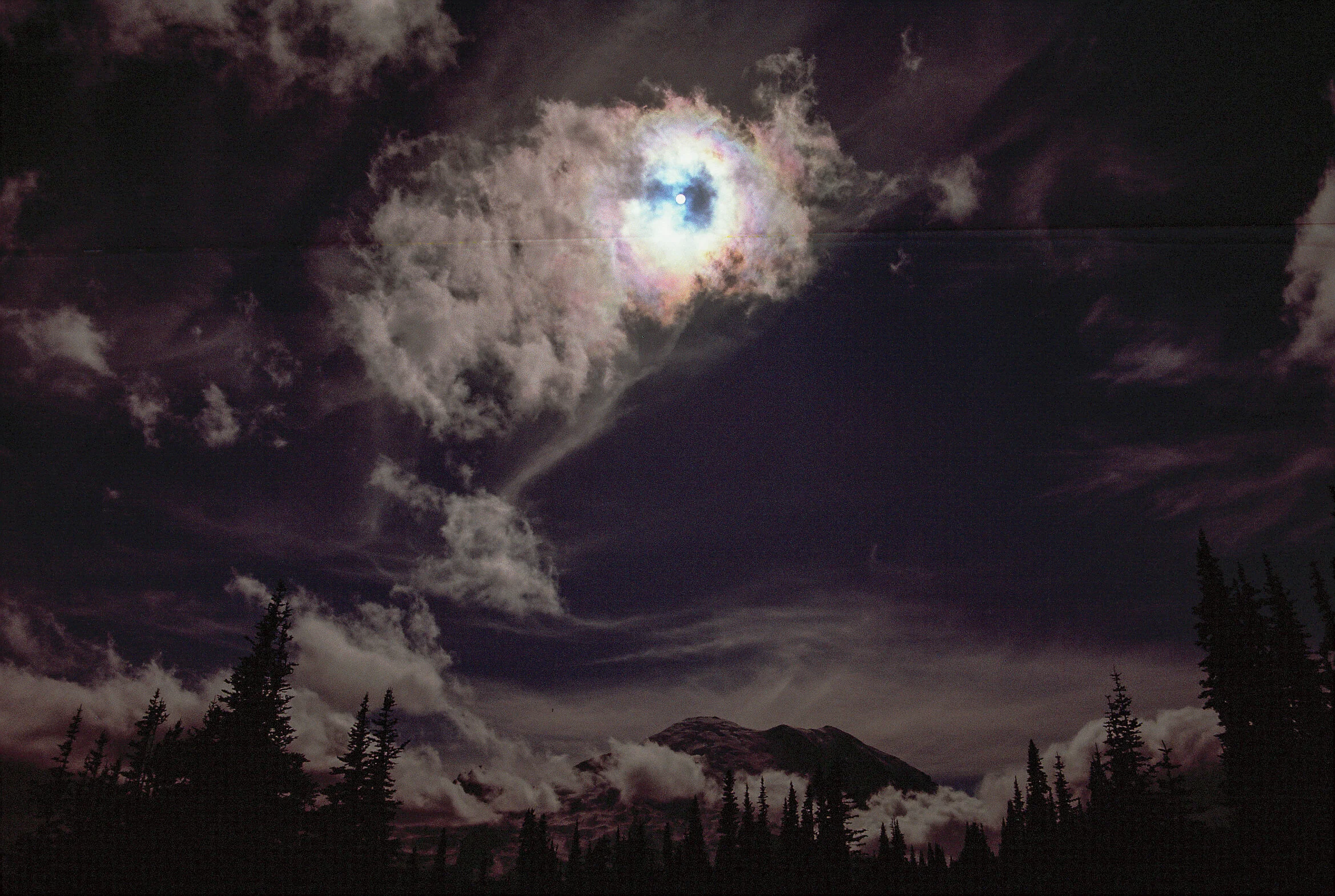 15272EP000001-R5-E098 copy.jpg