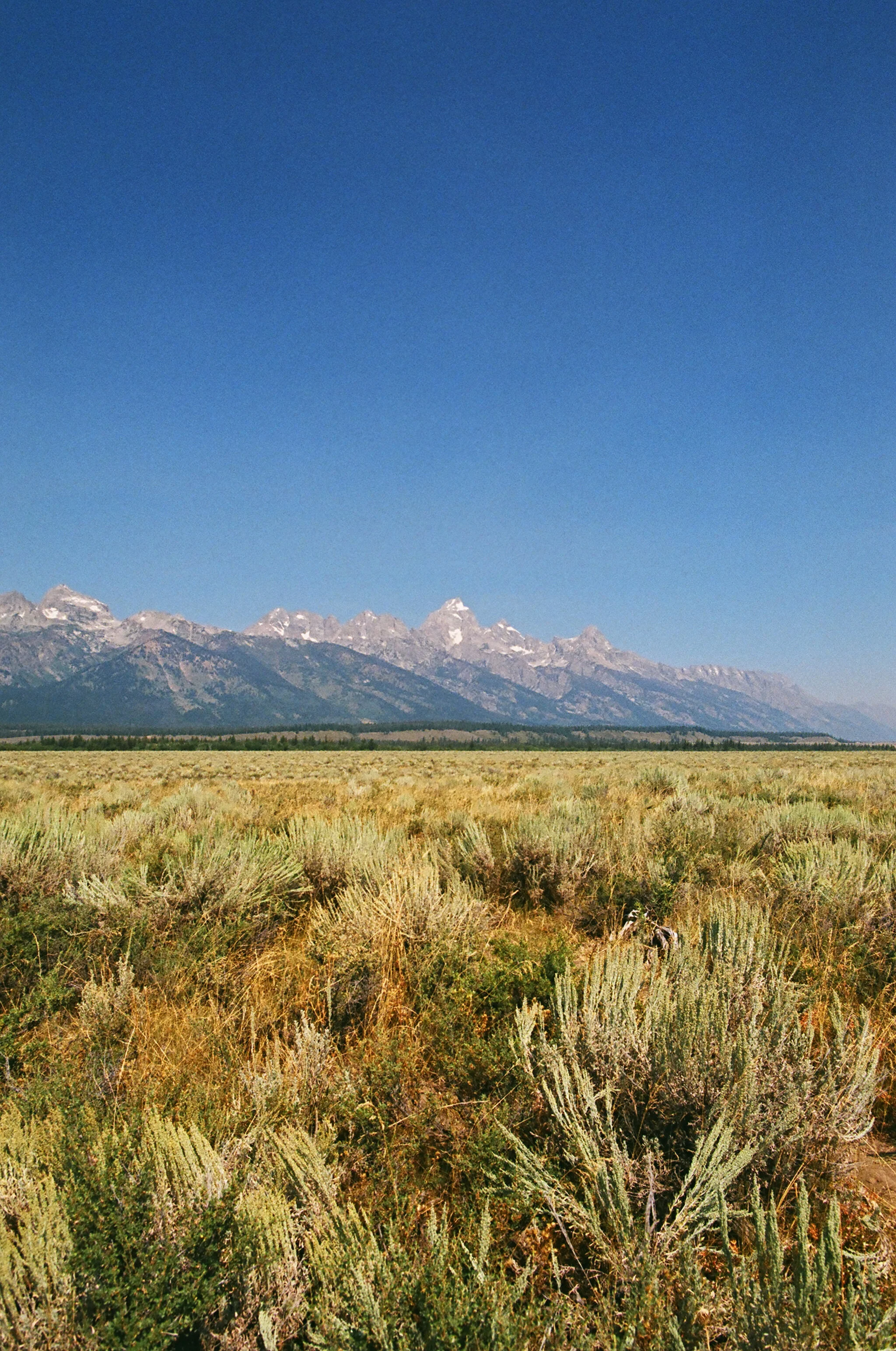 22320011.JPG