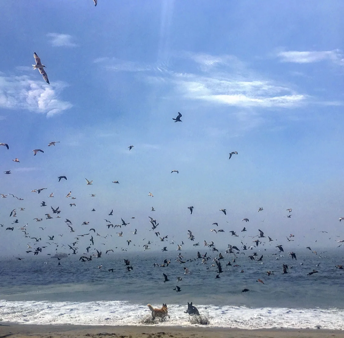 Sea Salt for the Soul