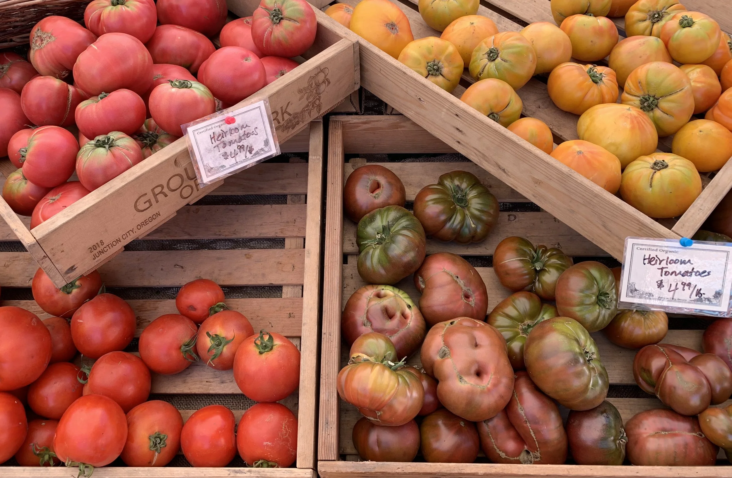 In My Backyard: Summer Lovin'