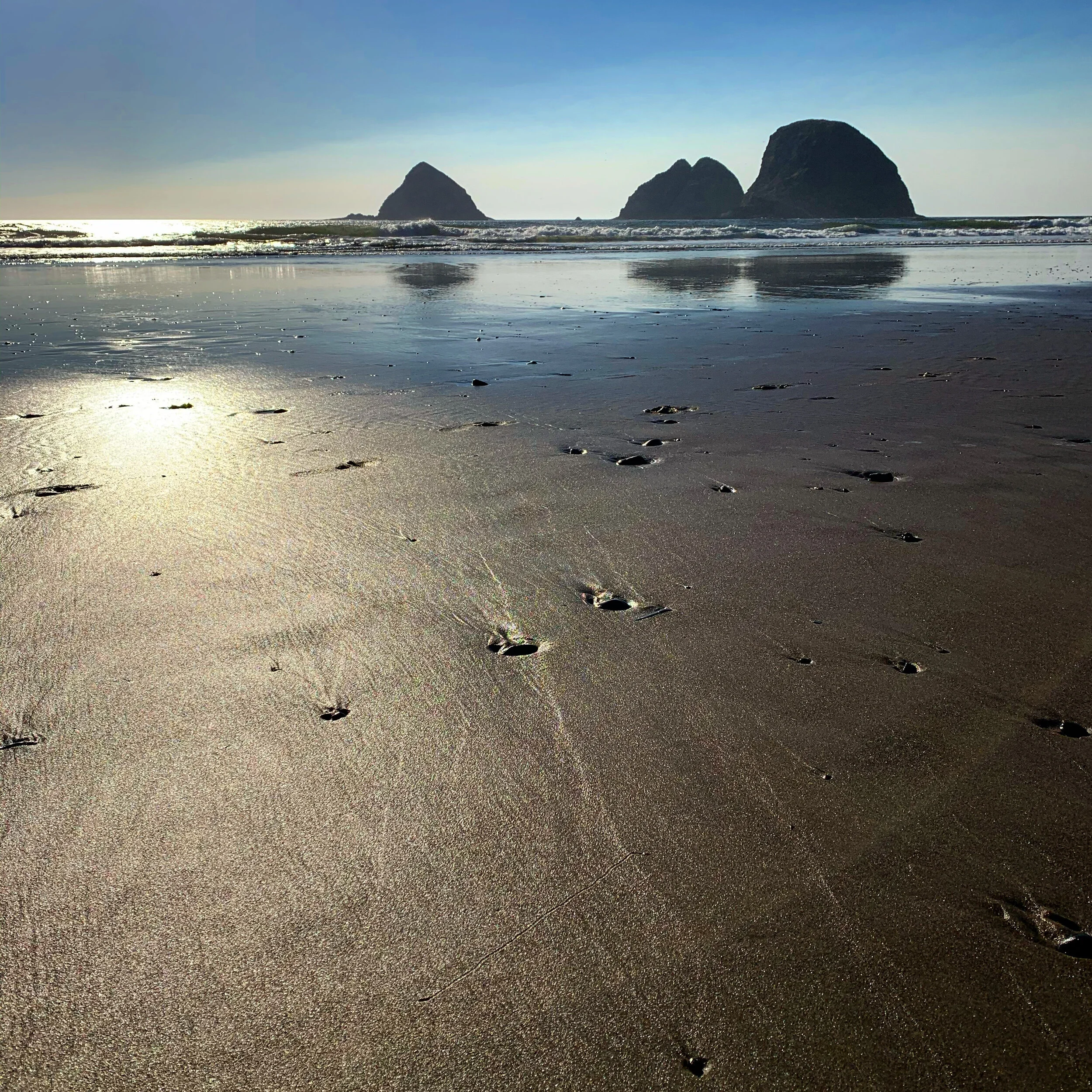 Exploring the Magic of the Oregon Coast