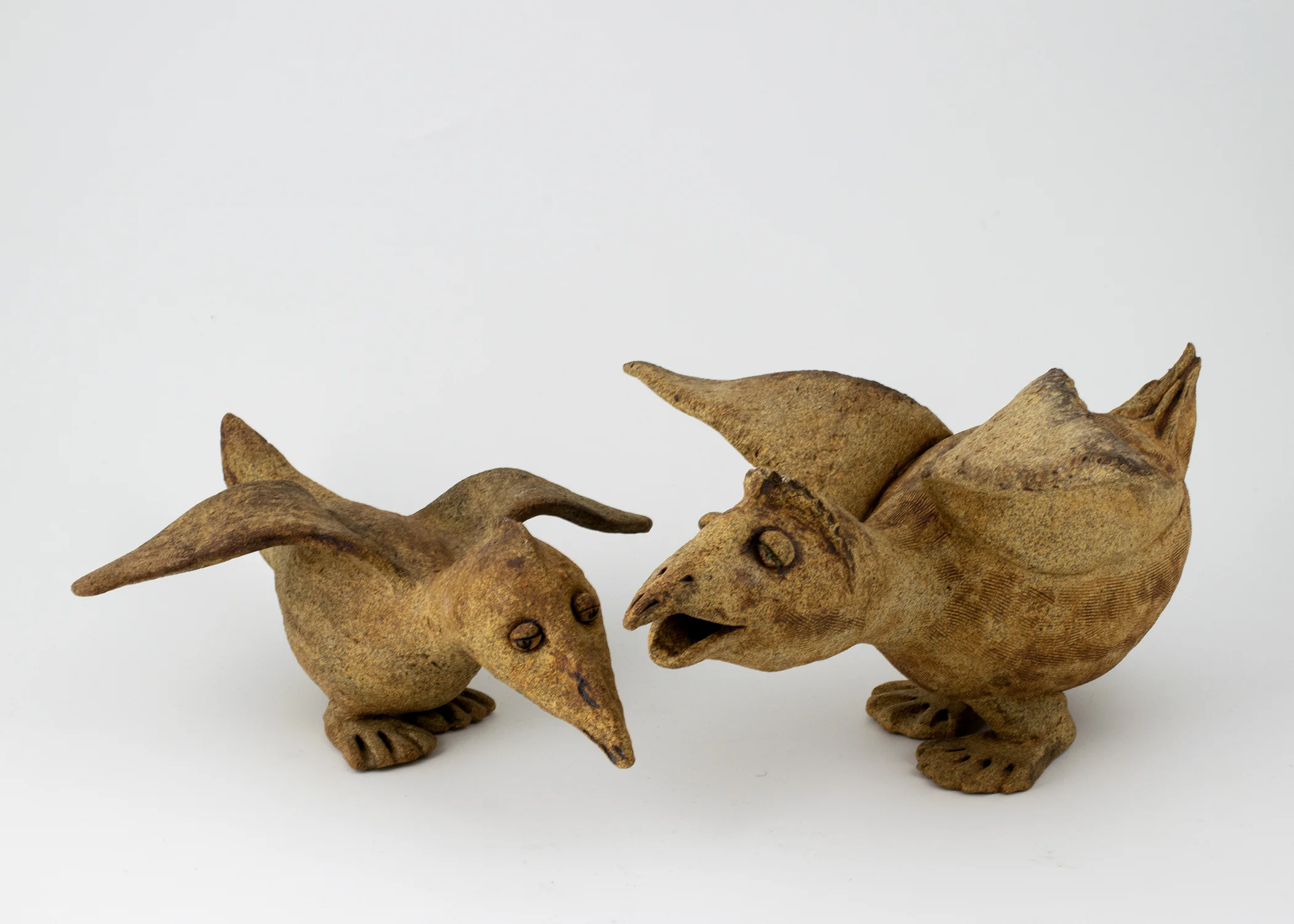 Fur, Feathers &amp; Fins