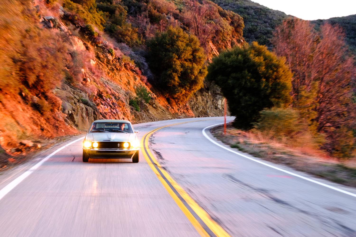 2017-02-12 Norah Stang-1.jpg