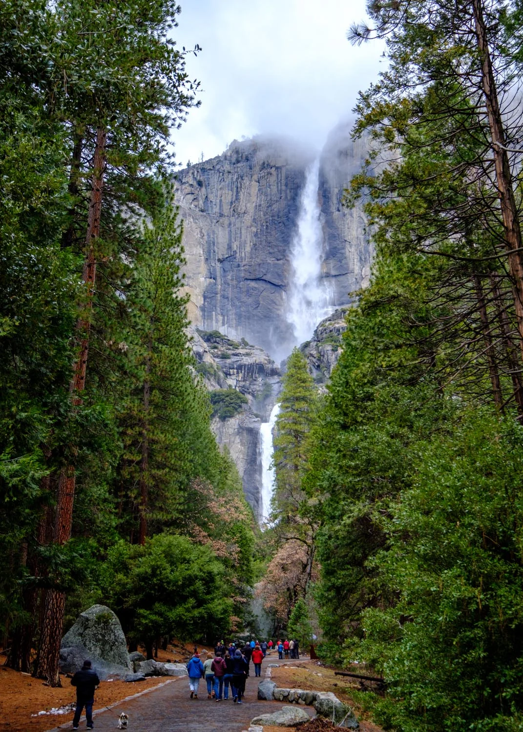2017-02-19 Yosemite National Park-1.jpg