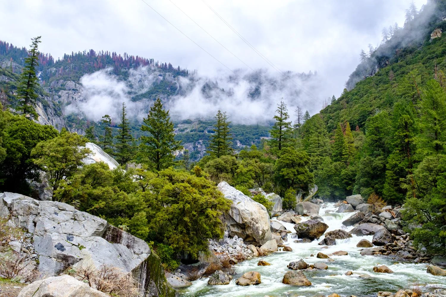 2017-02-19 Yosemite National Park-6.jpg