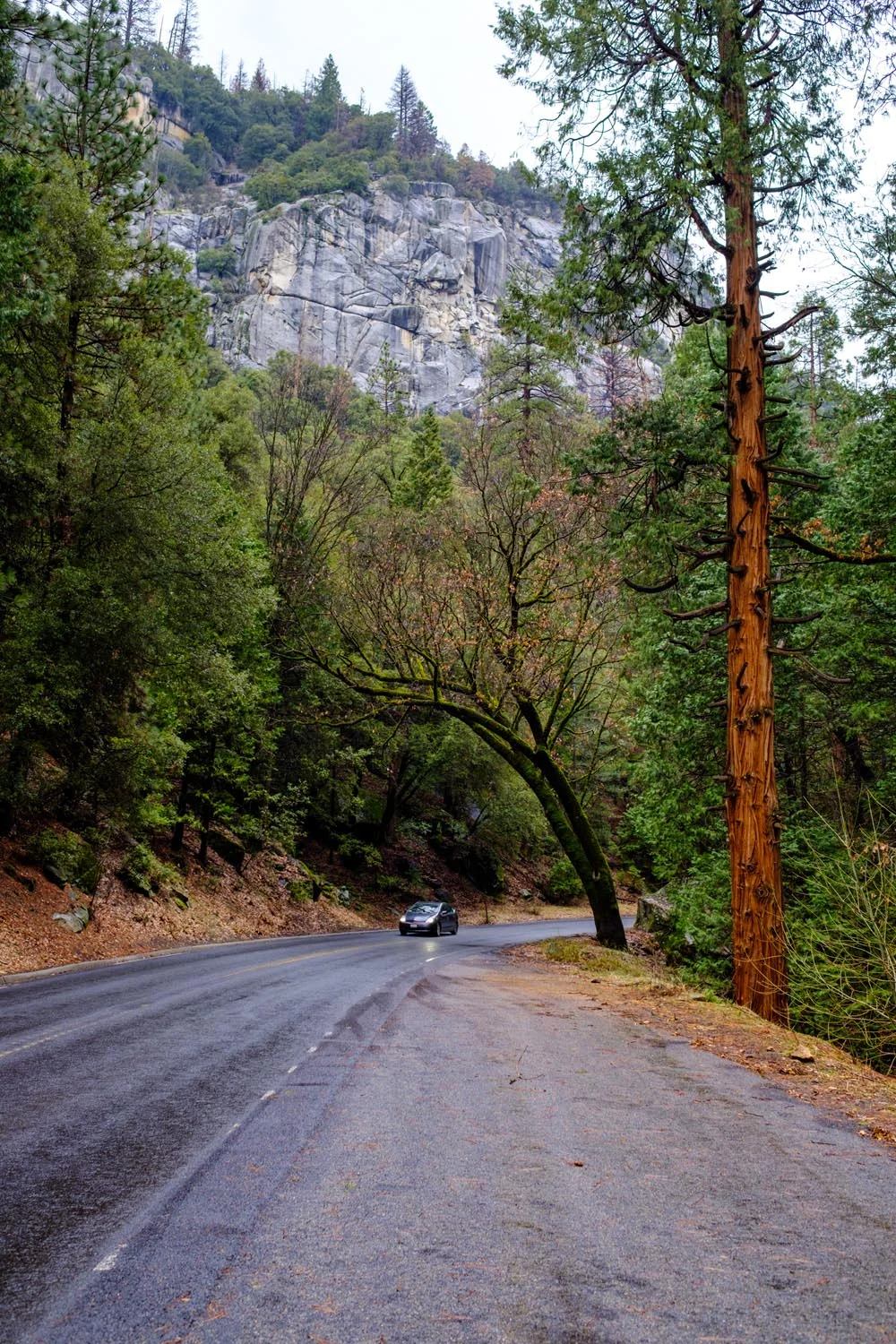 2017-02-19 Yosemite National Park-7.jpg