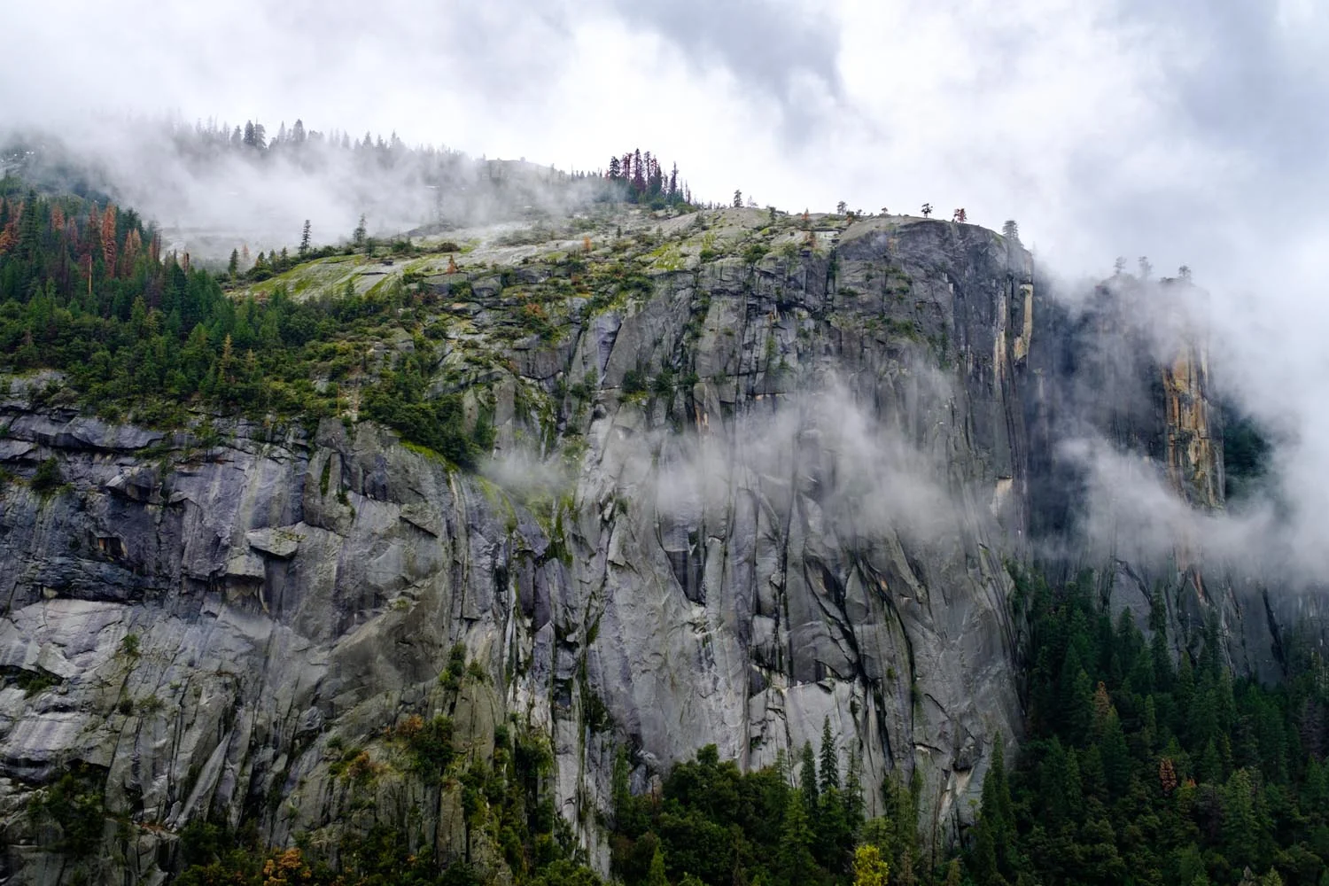 2017-02-19 Yosemite National Park-8.jpg