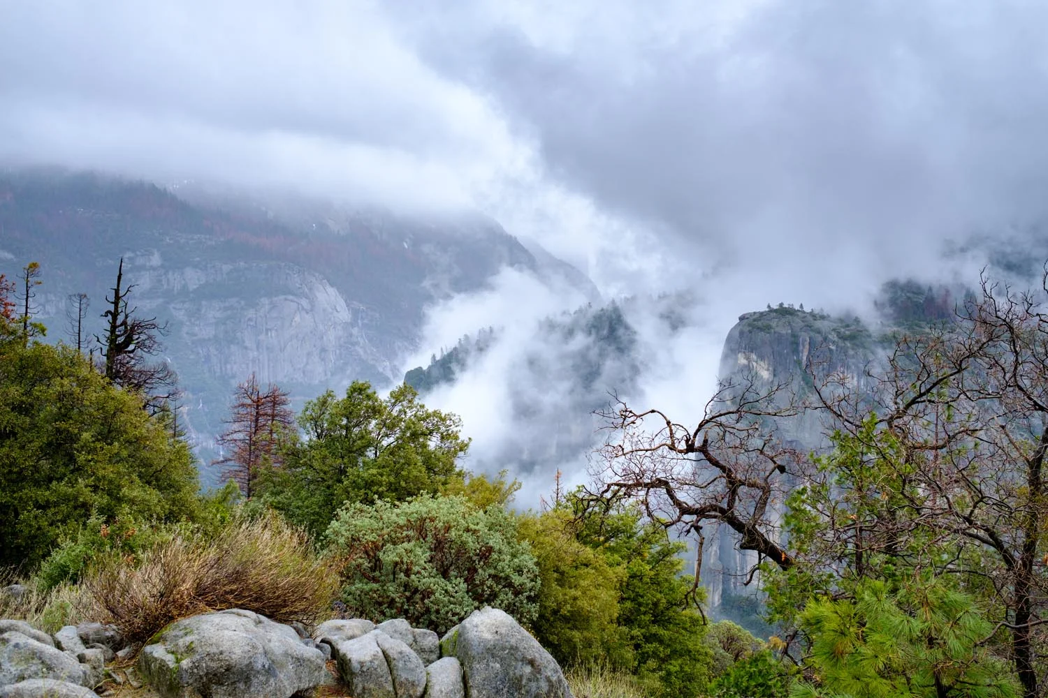 2017-02-19 Yosemite National Park-10.jpg