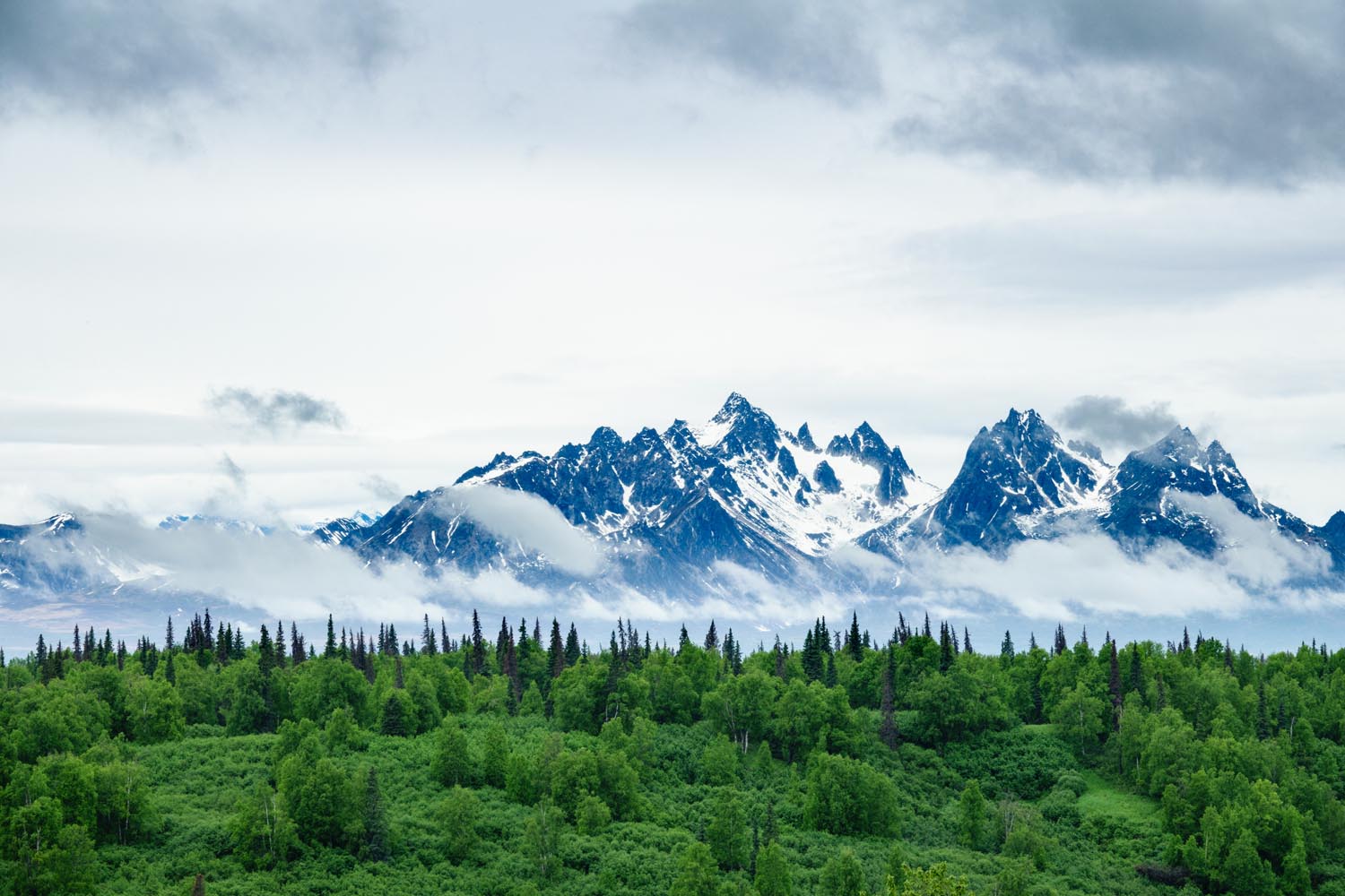 2017-06-08 Denali National Park-1.jpg