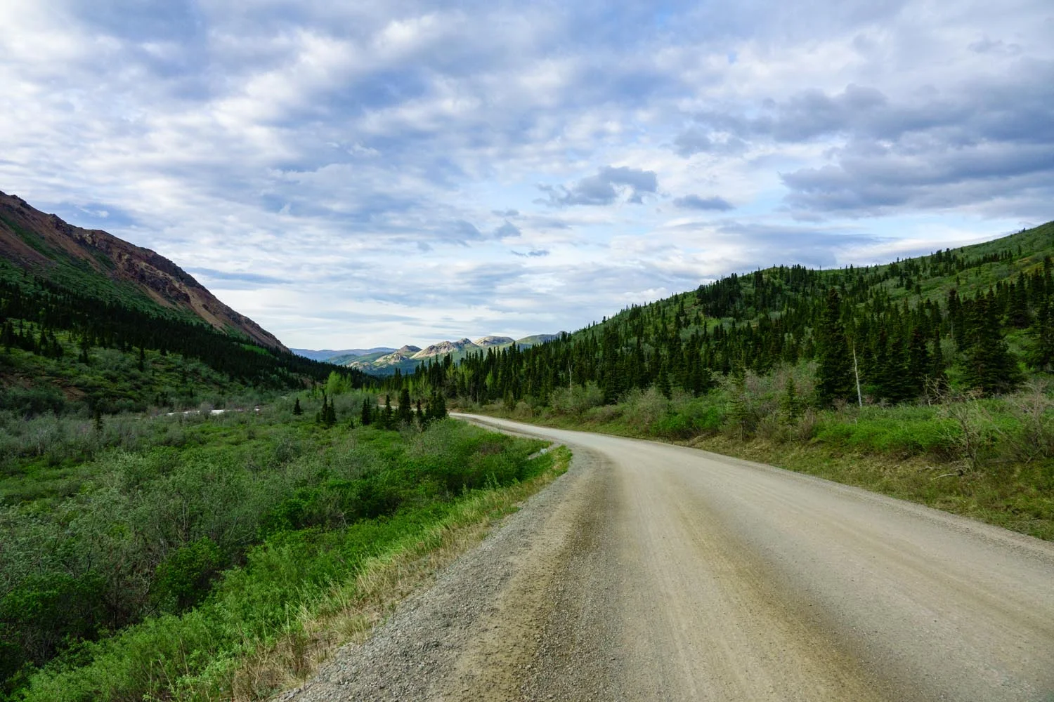 2017-06-08 Denali National Park-2.jpg