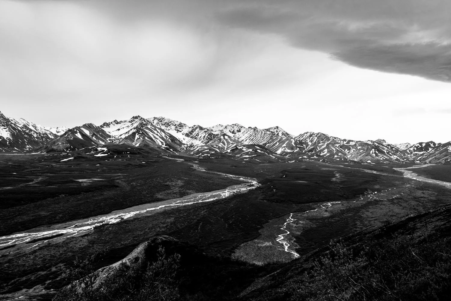 2017-06-08 Denali National Park-6.jpg