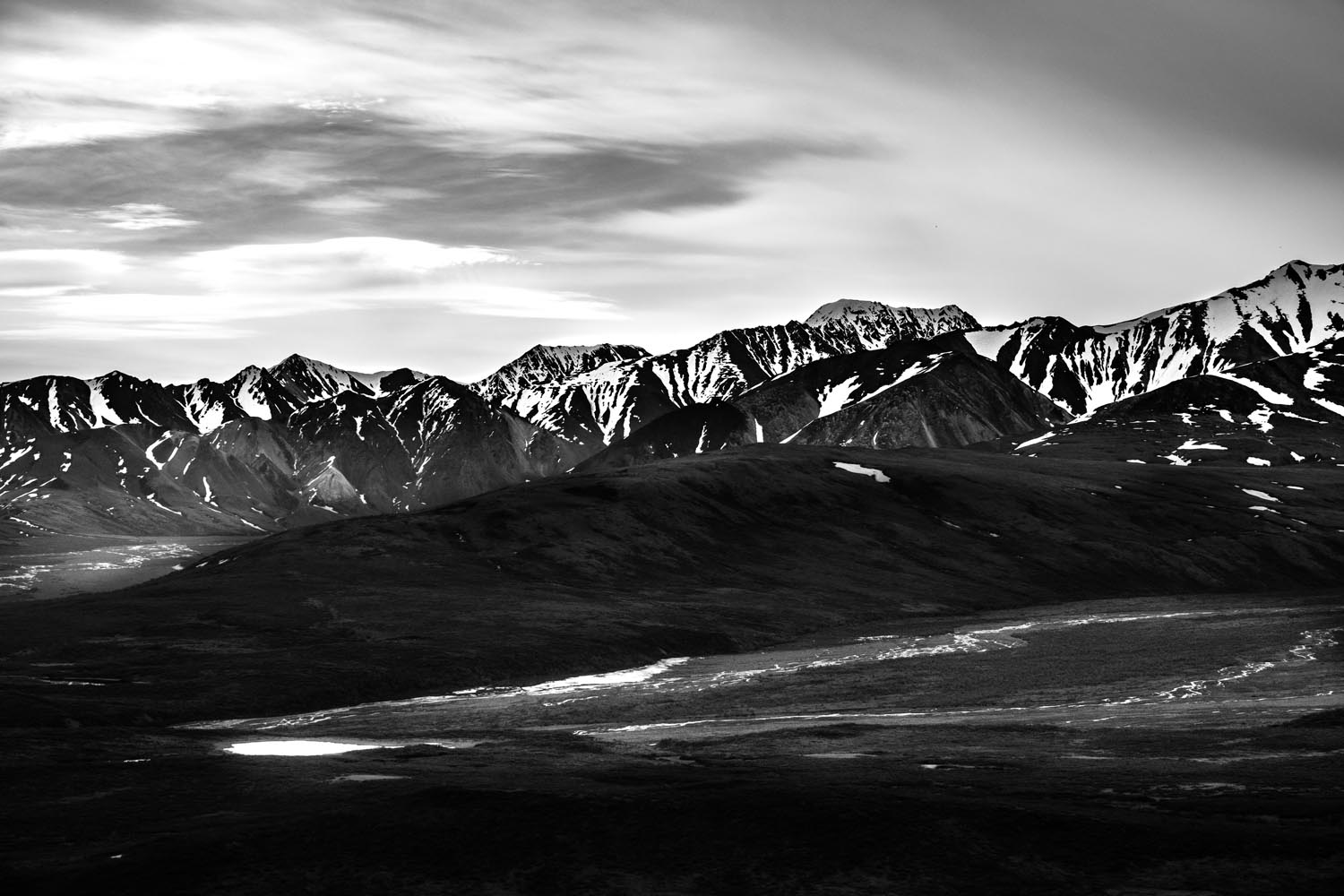 2017-06-08 Denali National Park-8.jpg