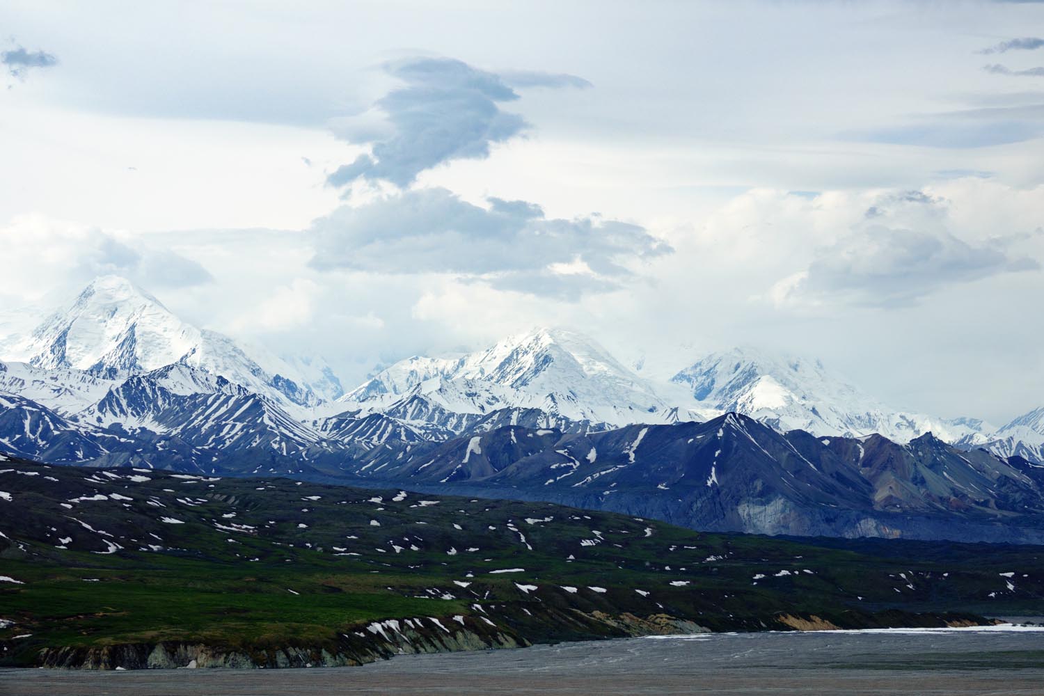 2017-06-08 Denali National Park-11.jpg