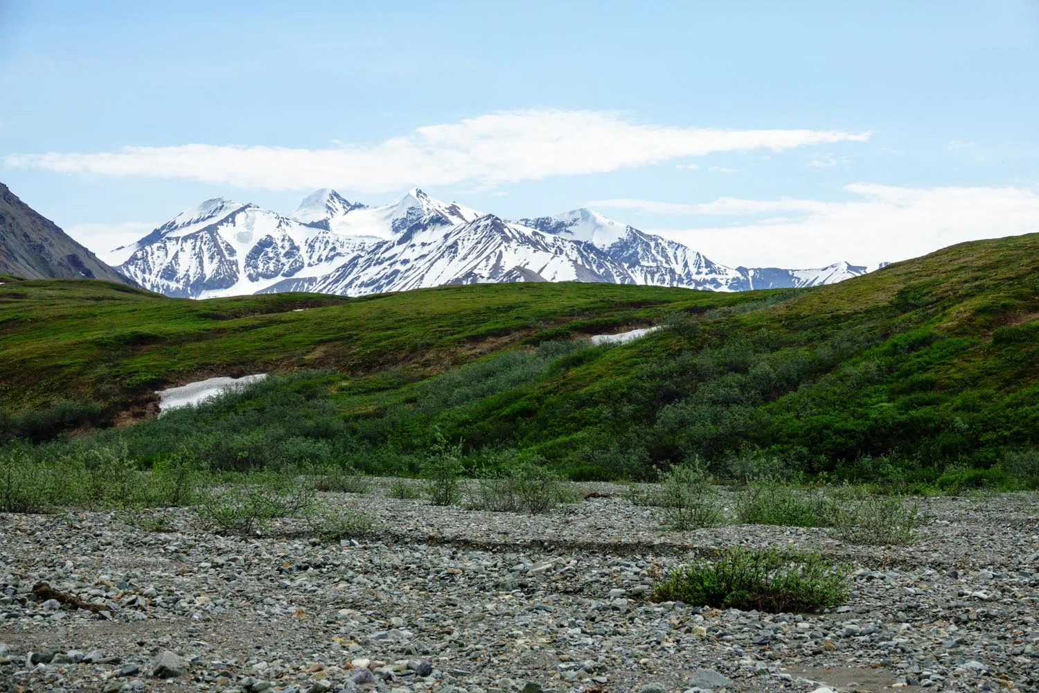 2017-06-08 Denali National Park-13.jpg