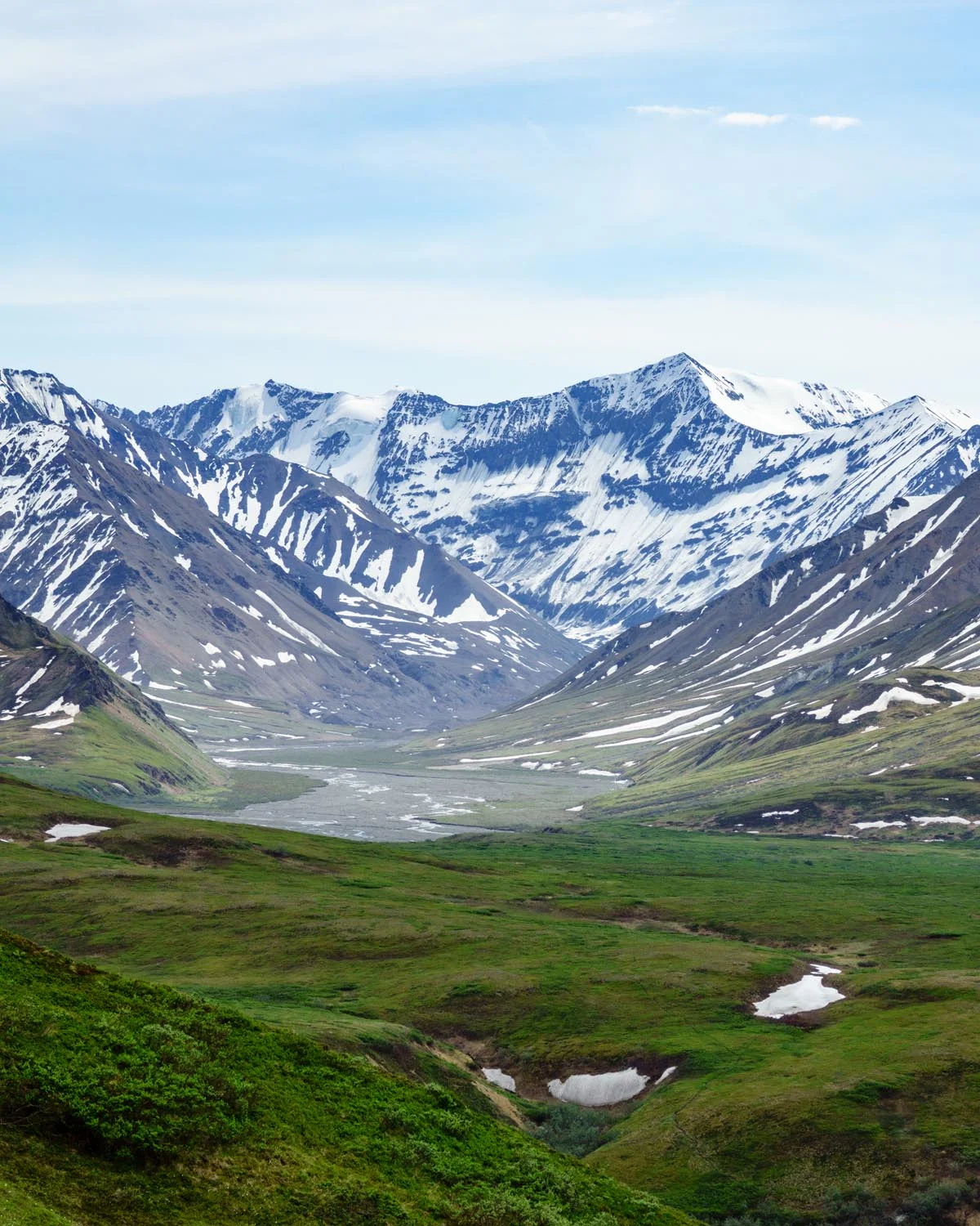 2017-06-08 Denali National Park-16.jpg