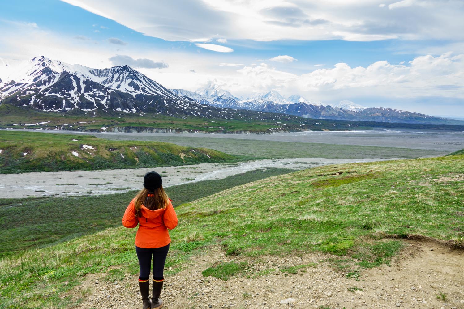 2017-06-08 Denali National Park-17.jpg