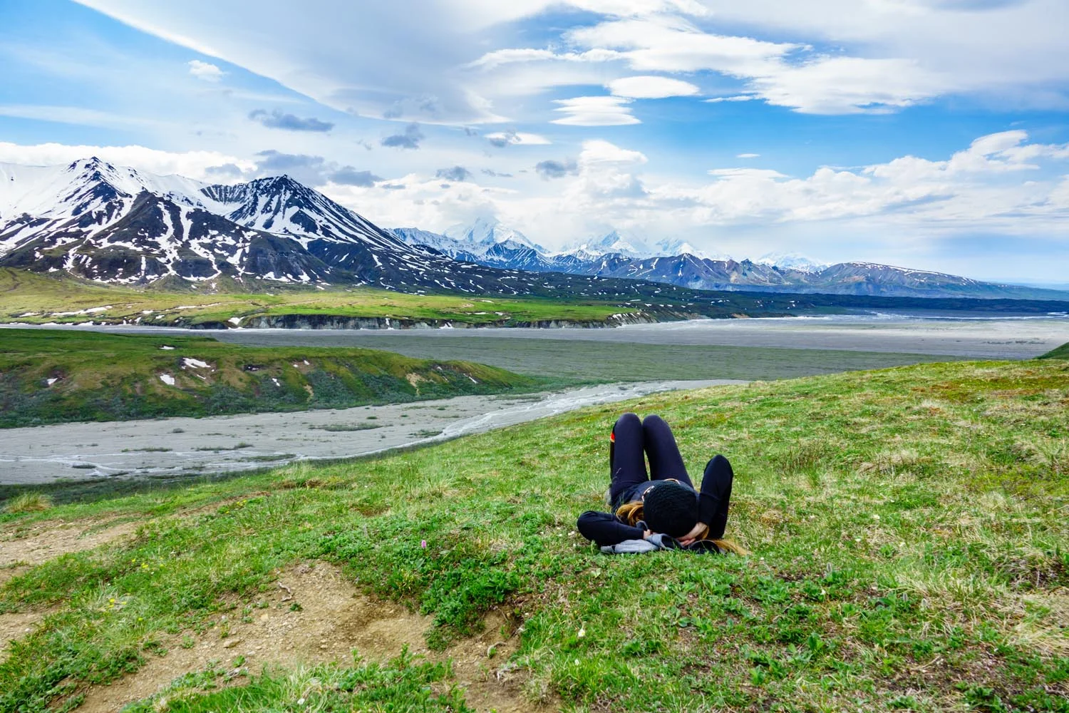 2017-06-08 Denali National Park-18.jpg