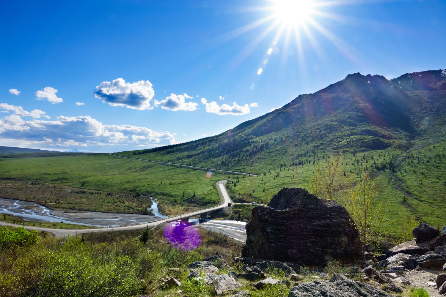 2017-06-08 Denali National Park-22.jpg