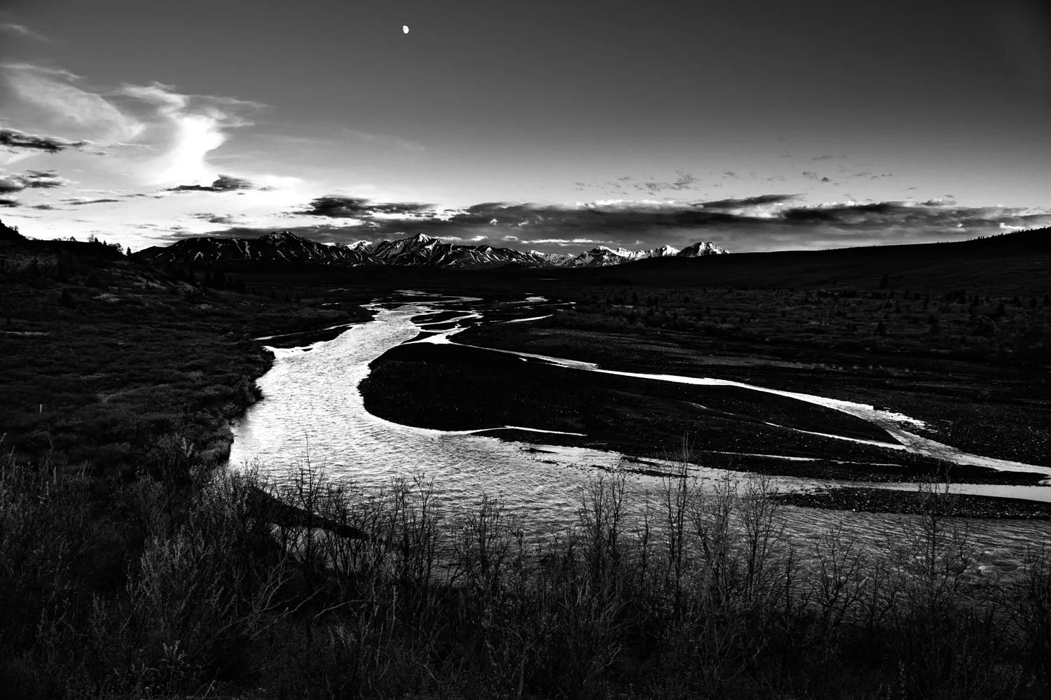 2017-06-08 Denali National Park-23.jpg