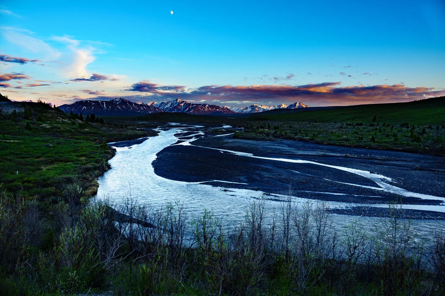2017-06-08 Denali National Park-24.jpg