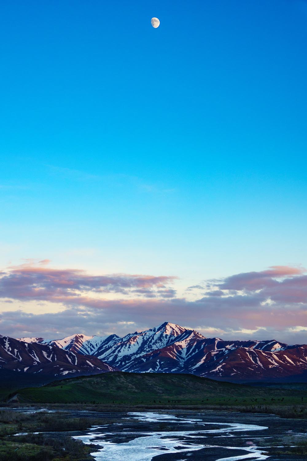 2017-06-08 Denali National Park-25.jpg