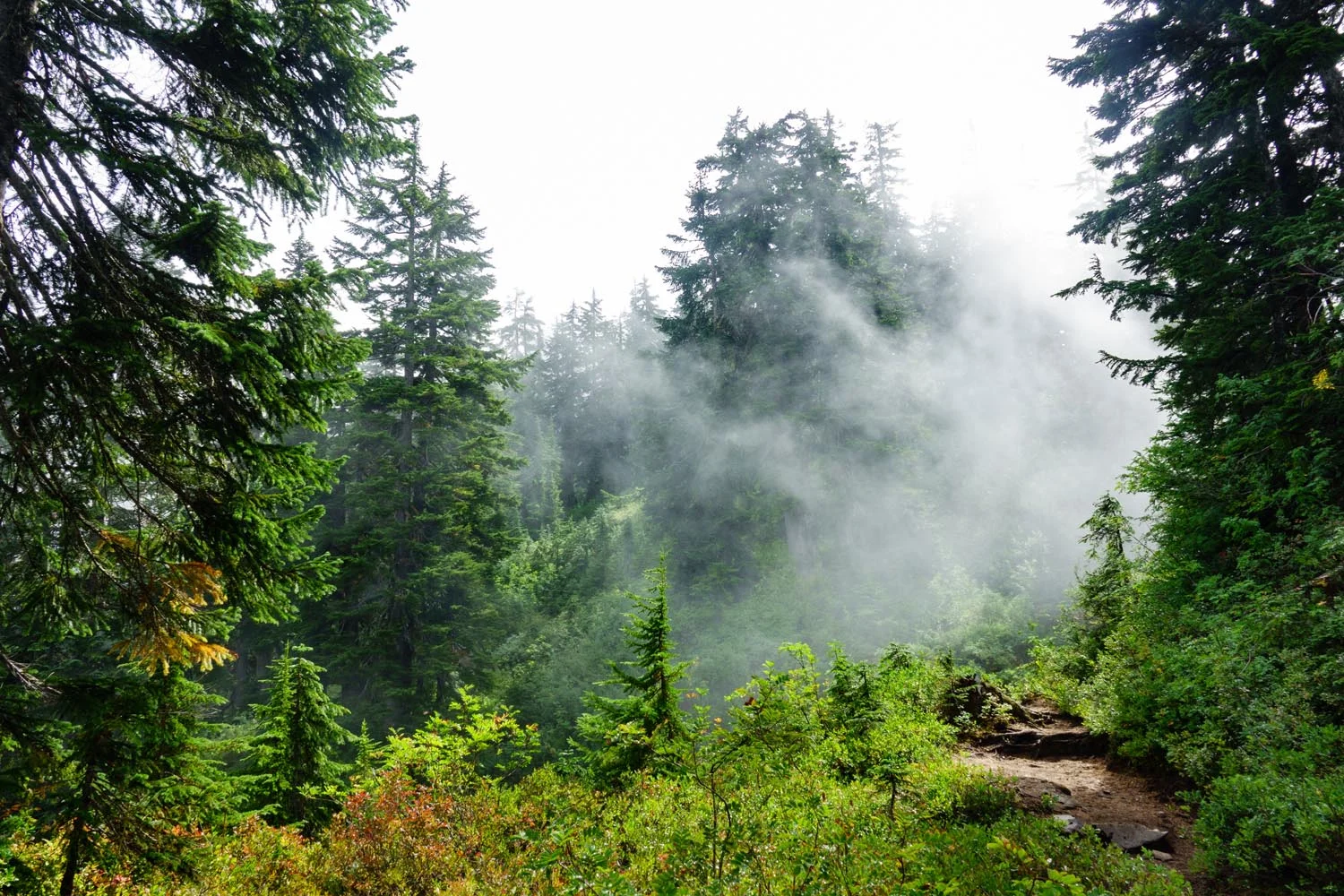 2017-09-10 Hike to Snow & Gem Lake with Kym Nafisa & Jingwen-2.jpg