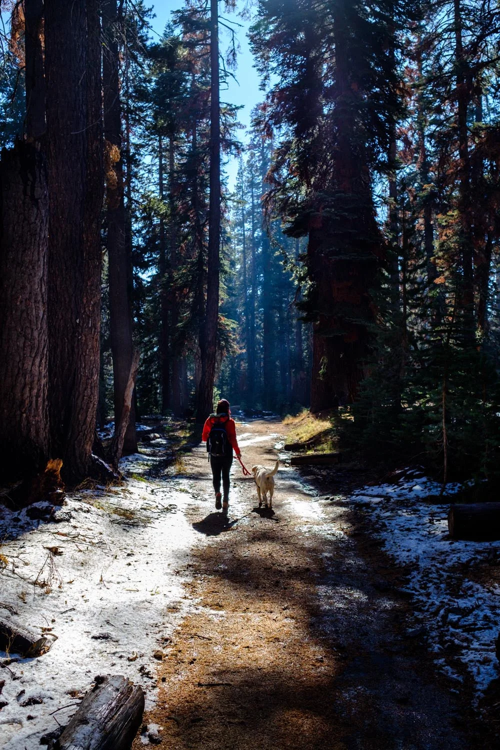 2017-10-20 Yosemite National Park-1.jpg