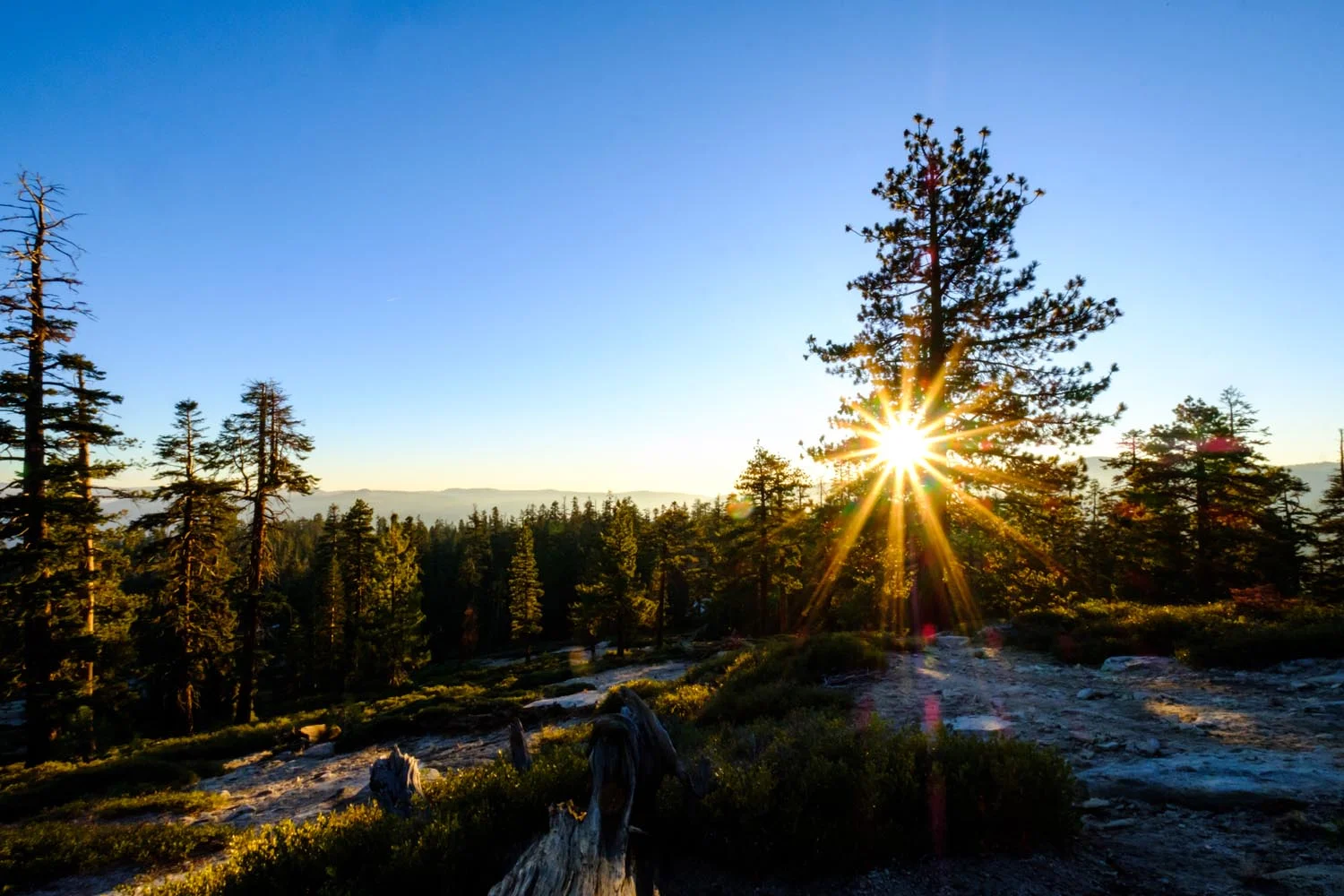 2017-10-20 Yosemite National Park-9.jpg