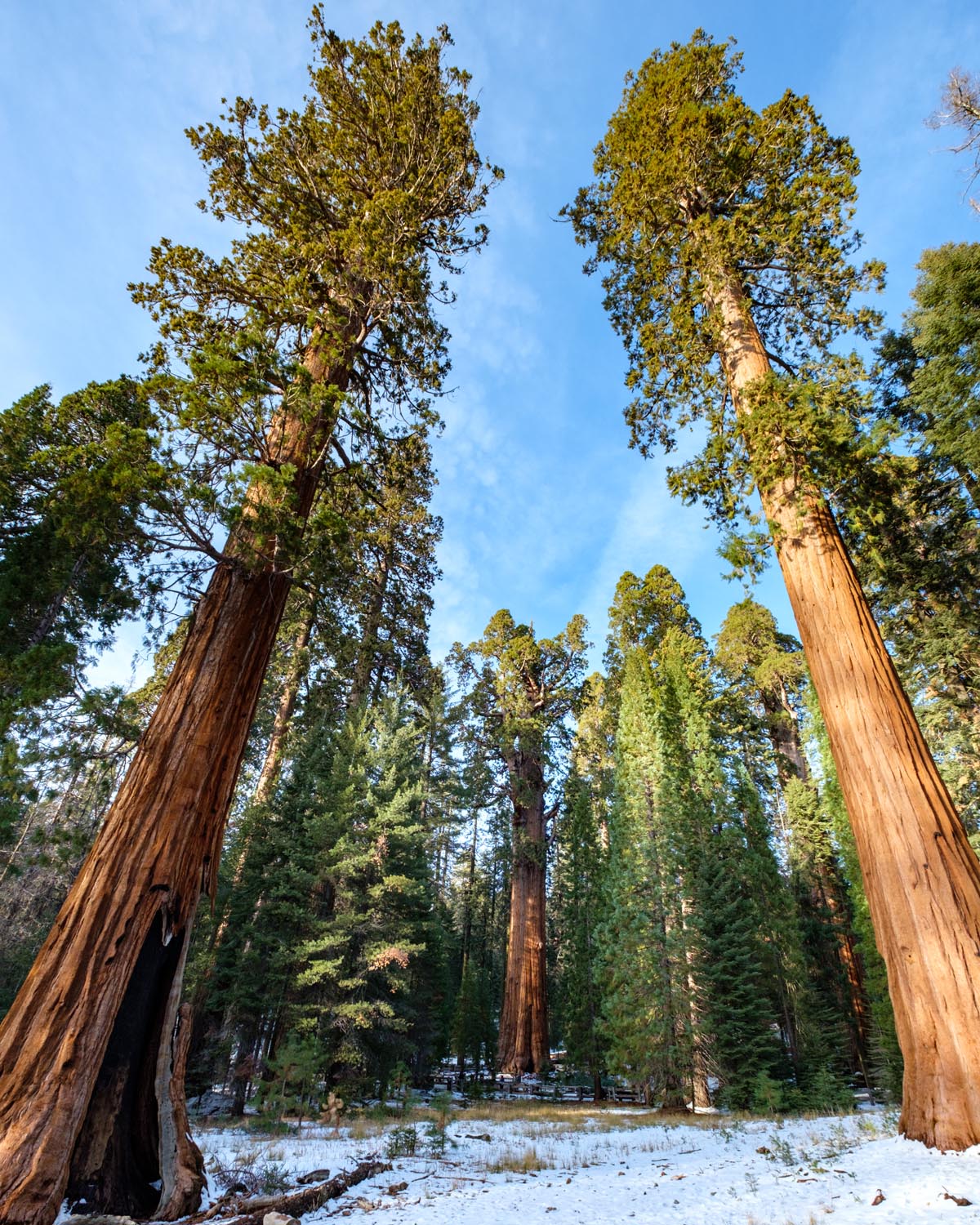 2018-01-26 Sequoia & Kings Canyon National Parks-2.jpg