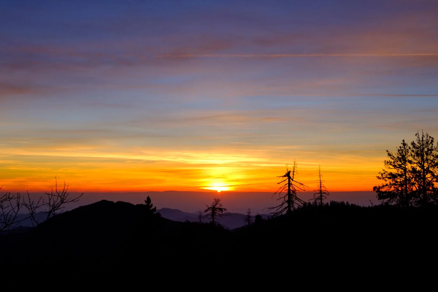 2018-01-26 Sequoia & Kings Canyon National Parks-5.jpg