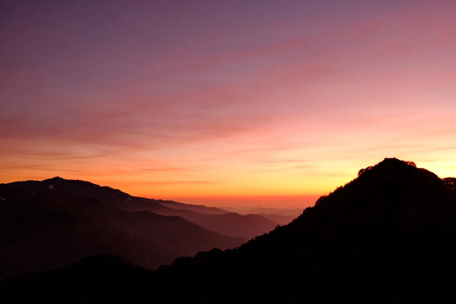 2018-01-26 Sequoia & Kings Canyon National Parks-7.jpg