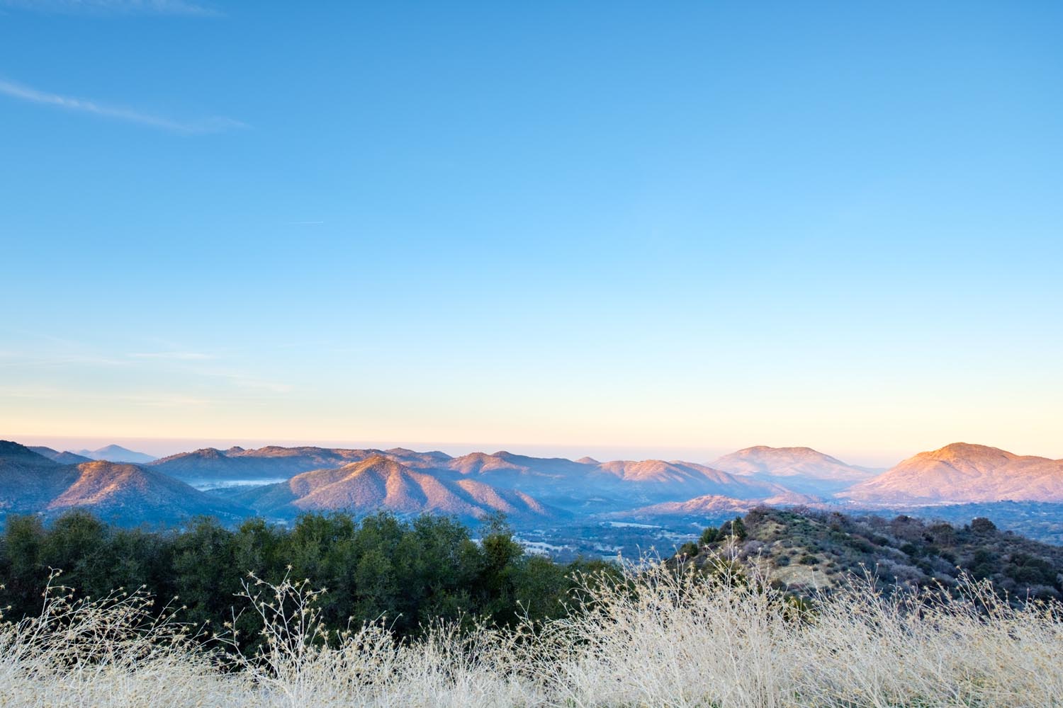 2018-01-26 Sequoia & Kings Canyon National Parks-9.jpg