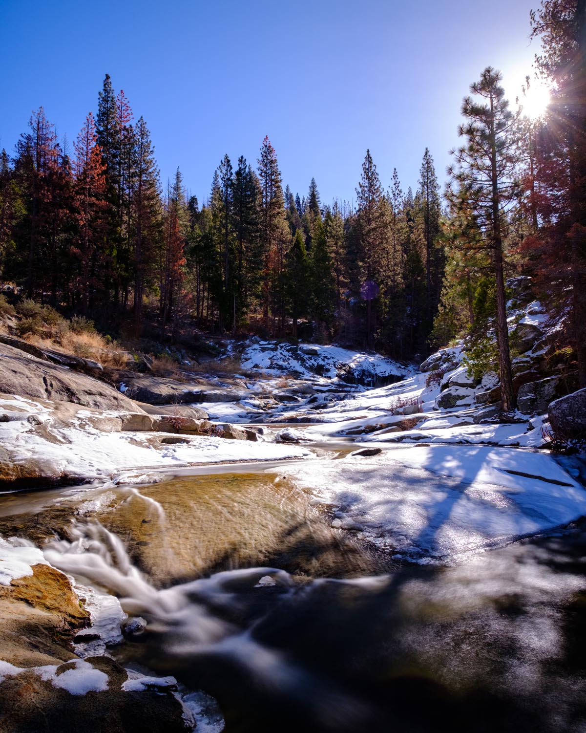 2018-01-26 Sequoia & Kings Canyon National Parks-11.jpg