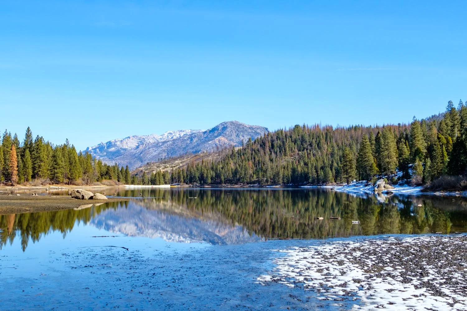 2018-01-26 Sequoia & Kings Canyon National Parks-12.jpg