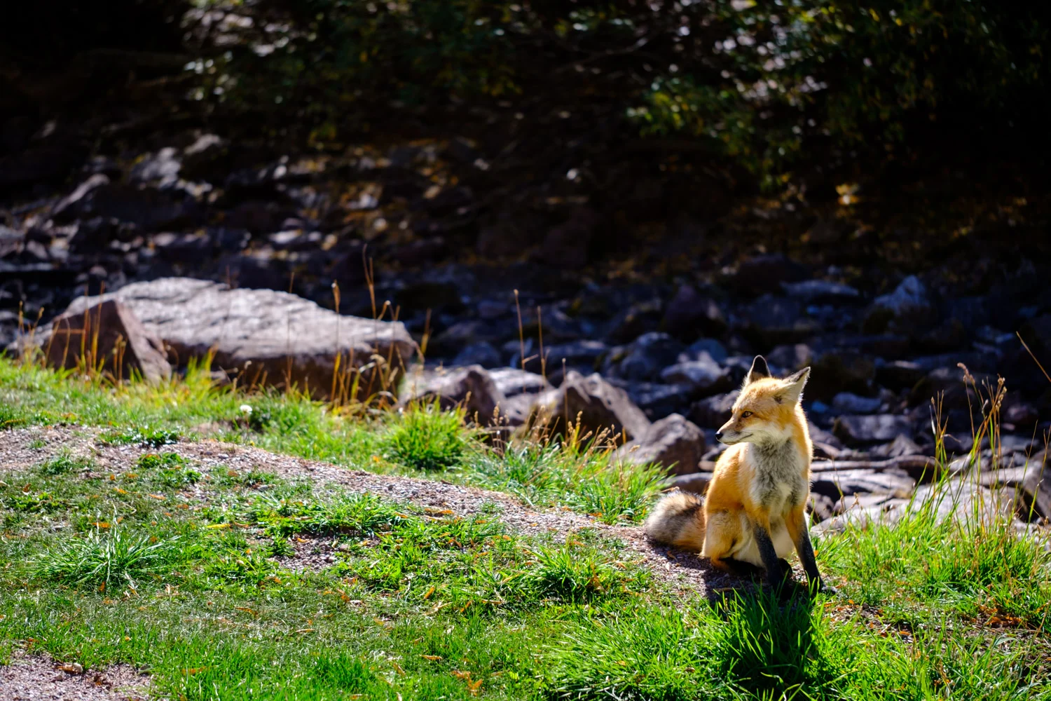 2018-09-27 Maroon Lake Road Trip - Web Res-12.jpg