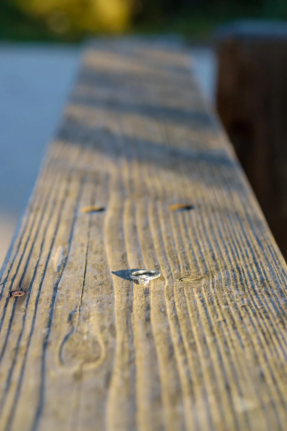 2017-12-27 Sidney & David's Engagement Session Web 1500-5.jpg