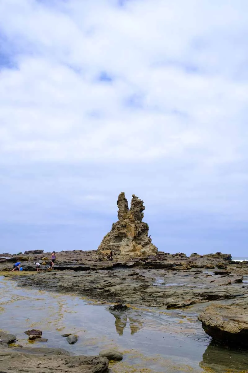 2019-01-03 Cape Paterson Beach - Low Res-7.jpg