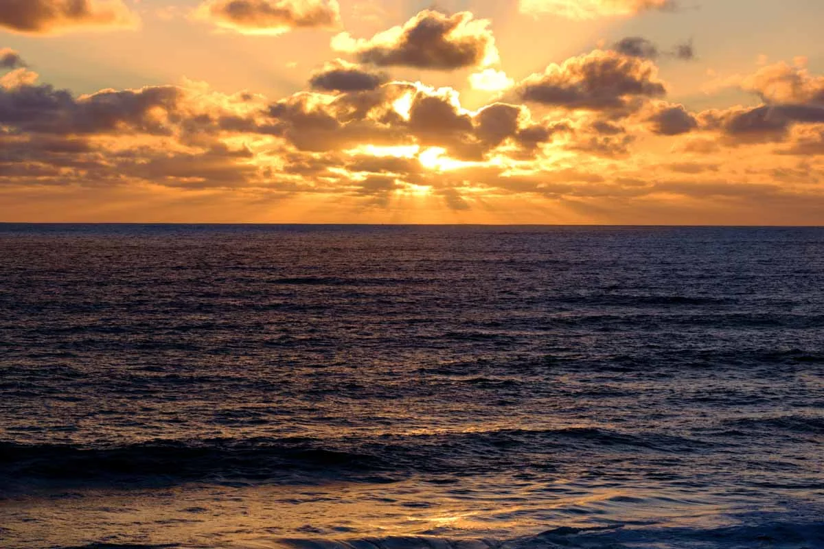 2019-01-02 Cape Paterson Beach - Low Res-22.jpg