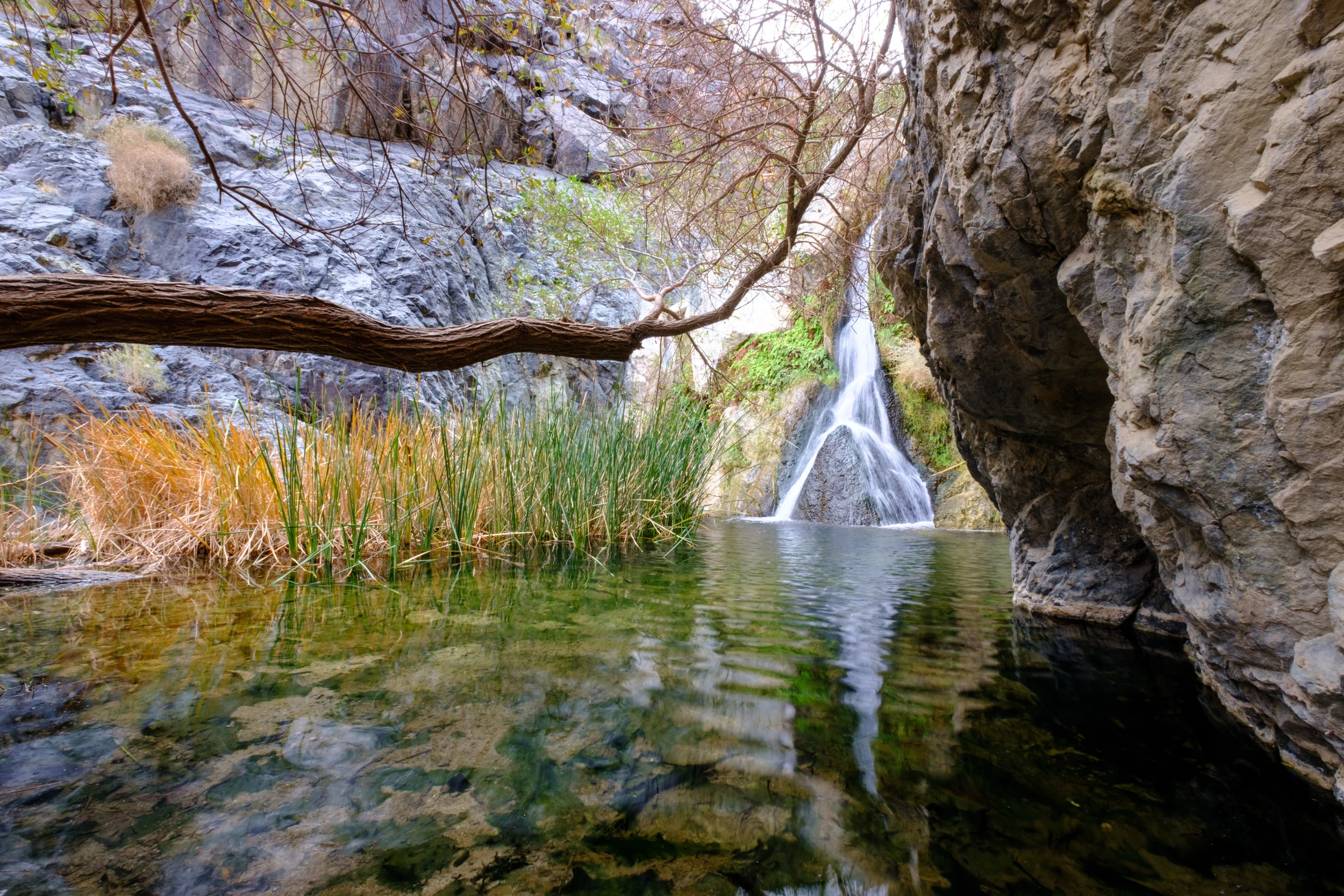 2018-12-08 Death Valley National Park - Darwin Falls-1.jpg