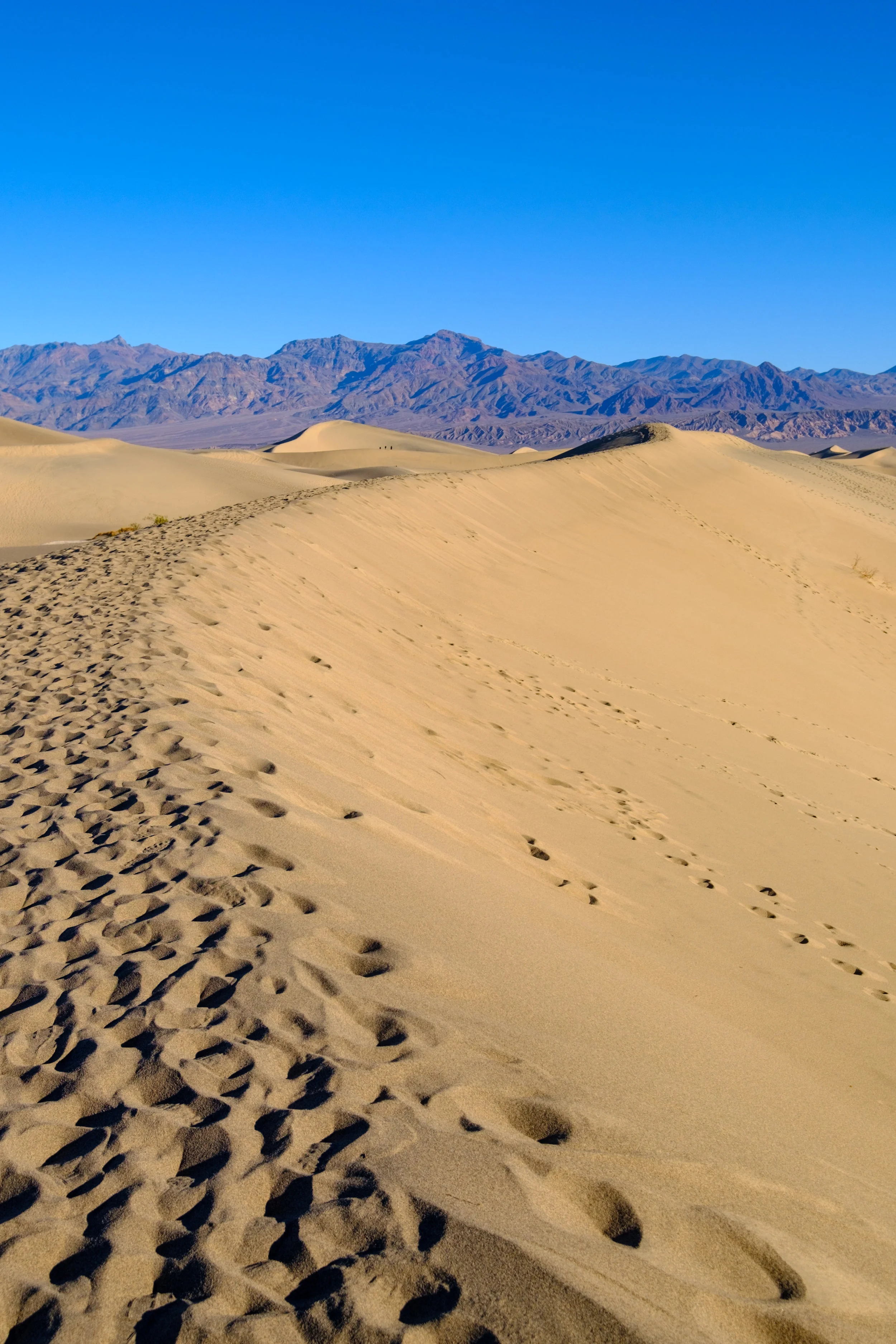 2018-12-08 Death Valley National Park - Mesquite Sand Dunes-1.jpg