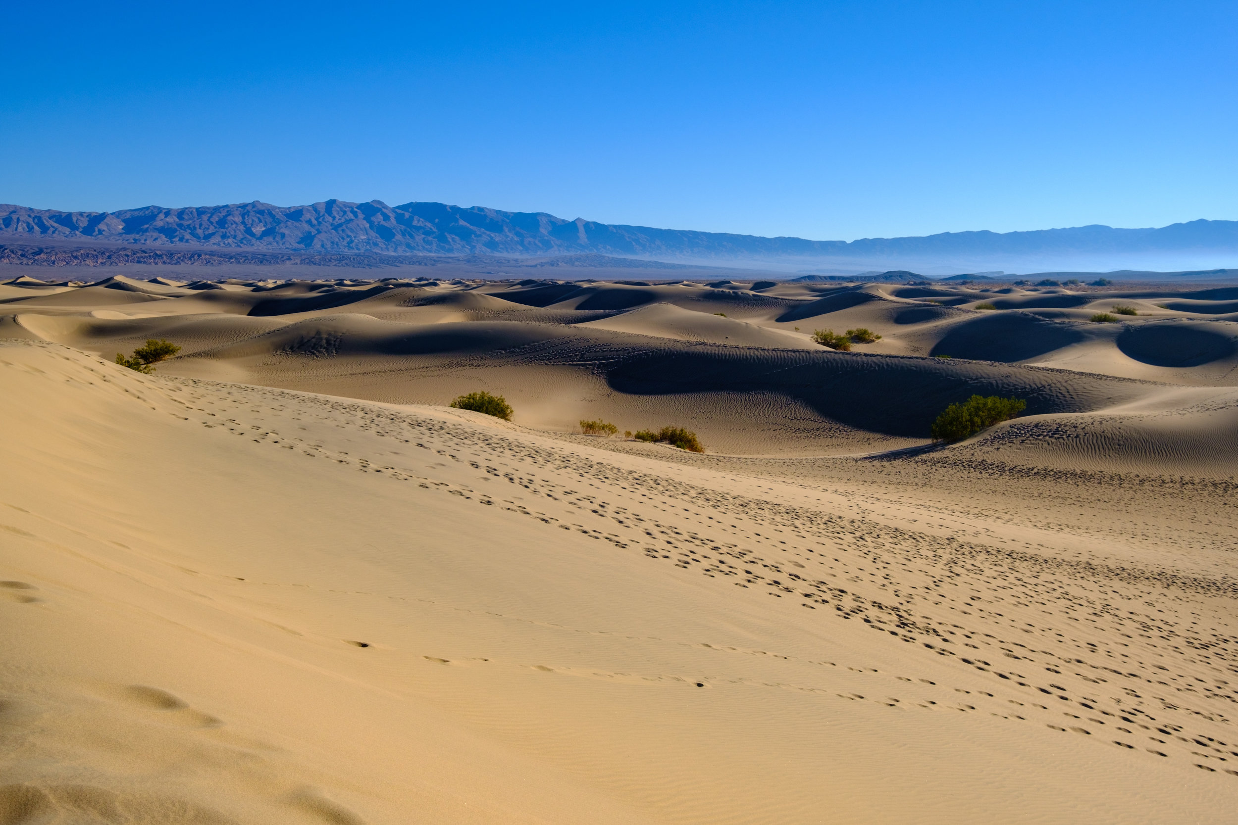 2018-12-08 Death Valley National Park - Mesquite Sand Dunes-2.jpg