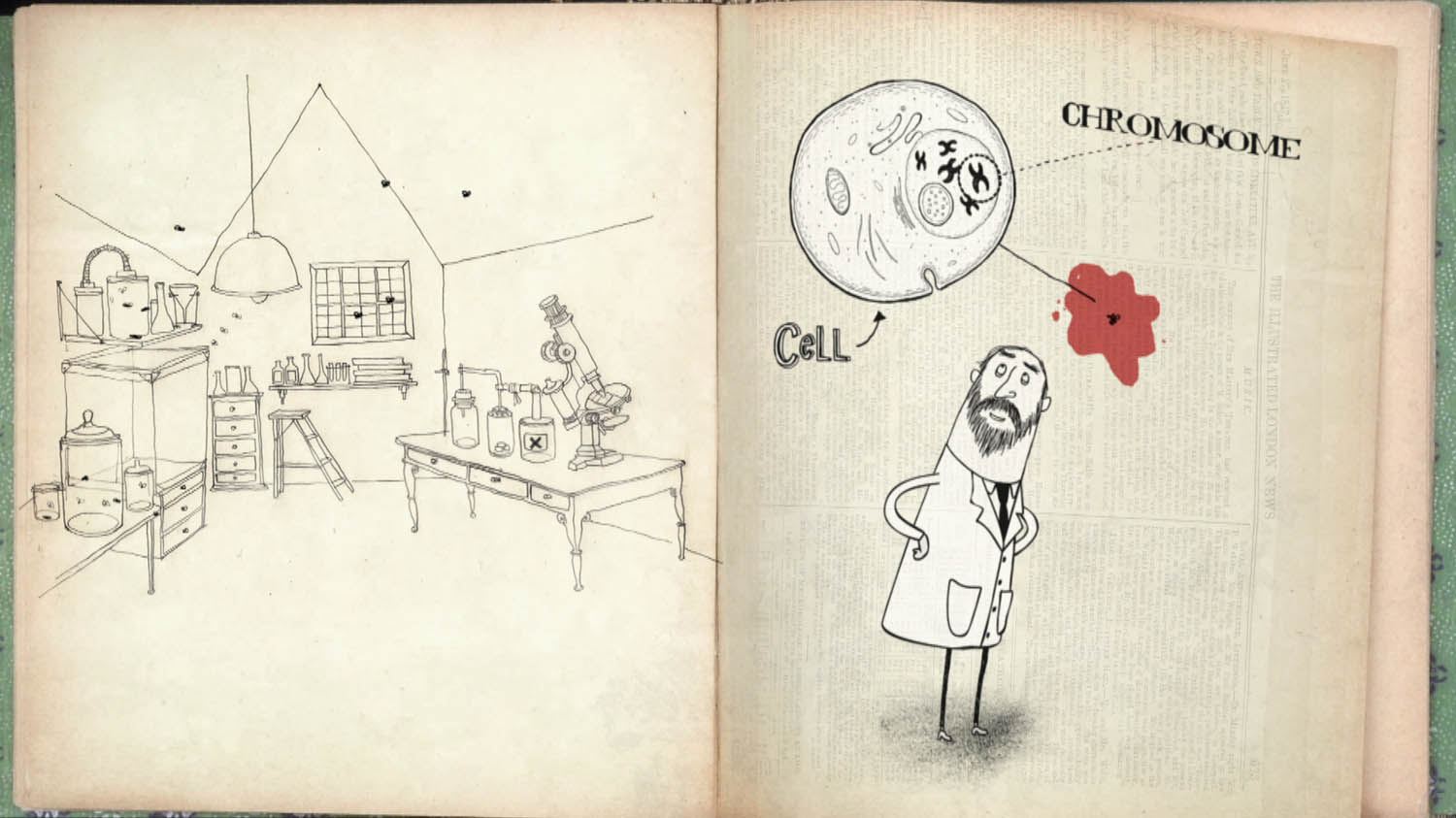 BBC Science Club - Inheritance