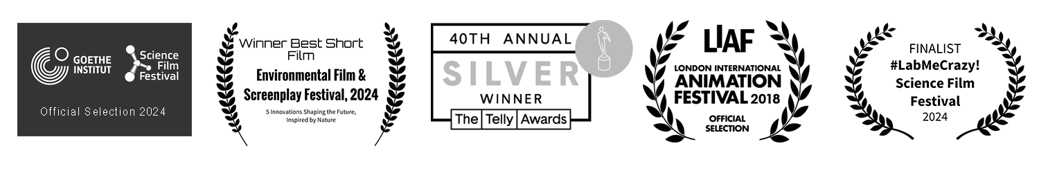 Awards-overview-01_b.png