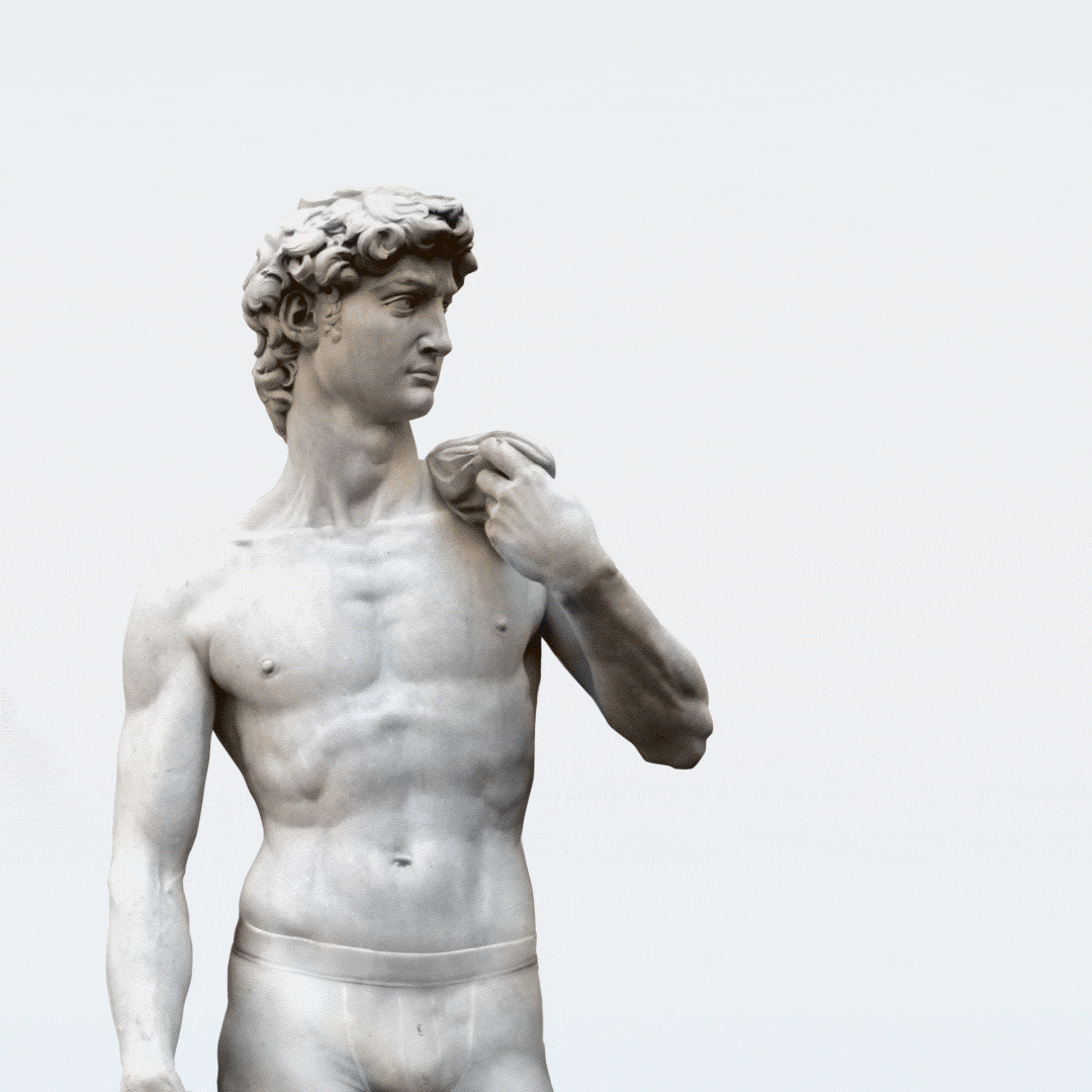 DAVID_3MB_lossy.gif