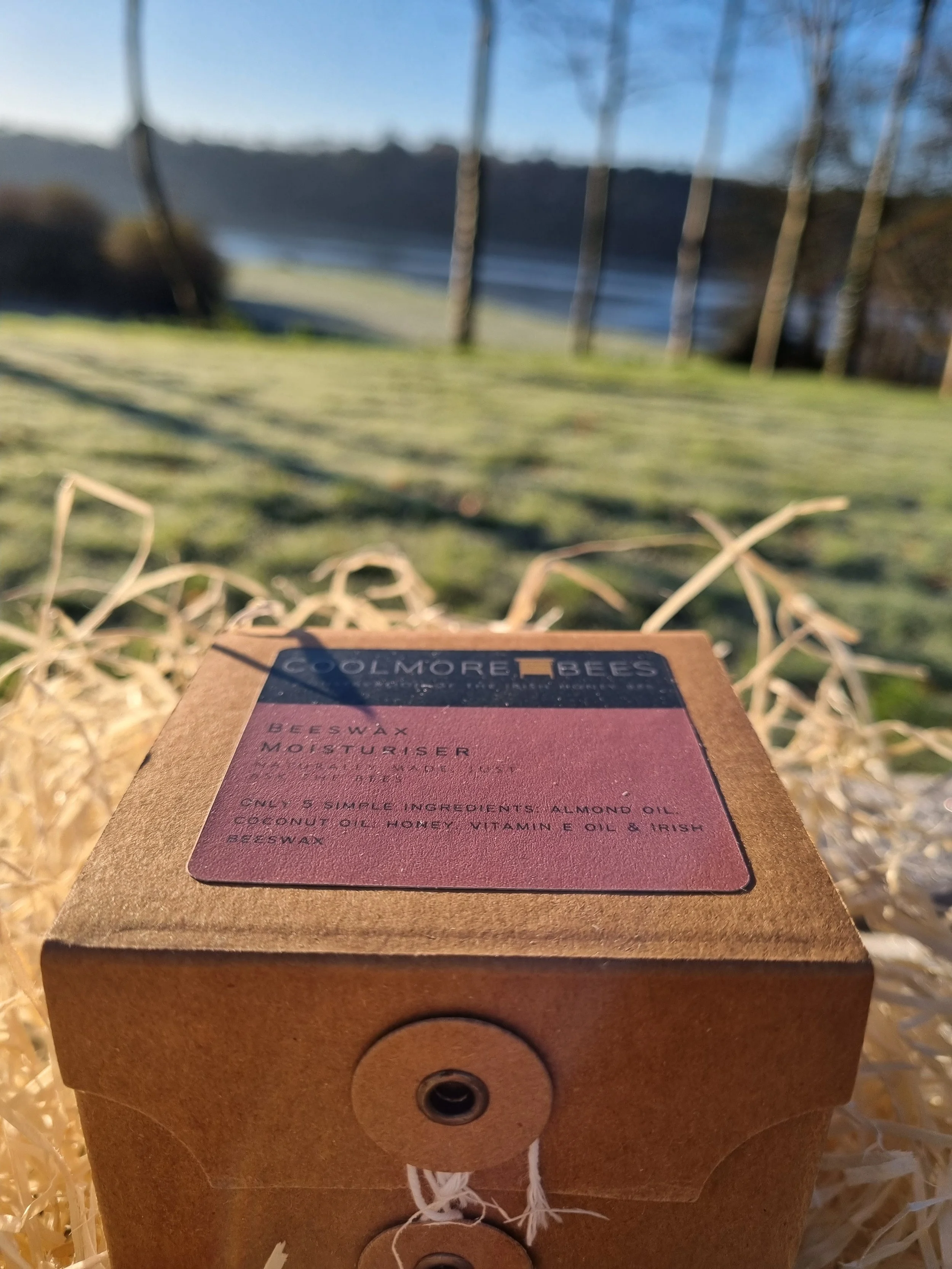 20221209_095614.jpg