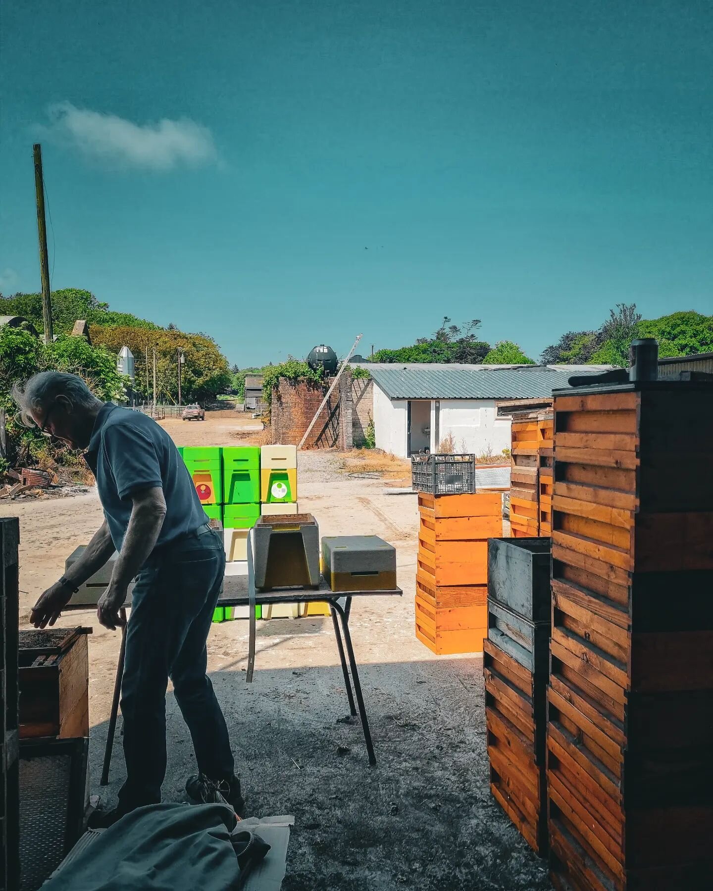 What are we up to right now?

We're just making lots of nucs. This involves going to a strong apiary, moving a frame of brood (with bees), and a frame of stores (with bees) into each of these nuc boxes. When they arrive back at our home apiary, we ca